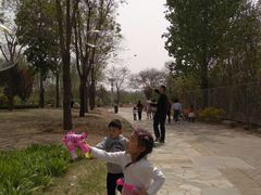 -燕郊植物园