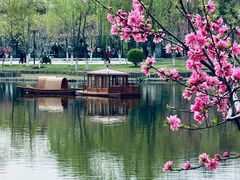 -西海子公园