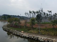 -宝安西湾红树林湿地公园