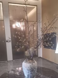 点击看大图 -云之憩科技美肤SPA