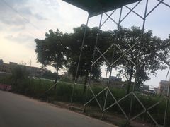 -化龙驾考场