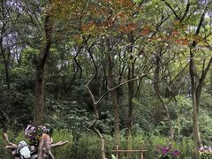 -广州市白云山风景名胜区