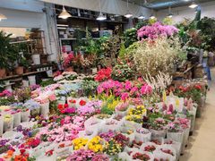 -双季花艺园艺市场(浦东店)