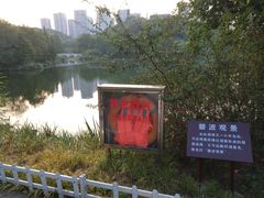 -重庆彩云湖湿地公园
