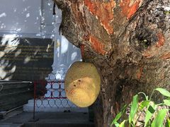 -来康佛寺