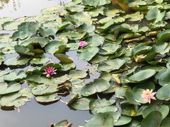 -盘龙城国家考古遗址公园