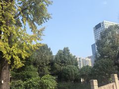 -龙潭水乡