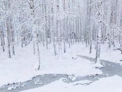 -北极村旅游风景区