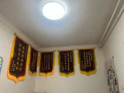 -程氏苗堂苗技养生