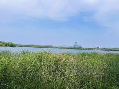 -长春市南湖公园