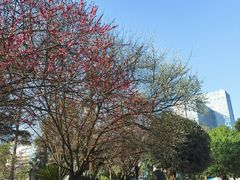 -四川大学(华西校区)