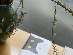 -猫里有甜