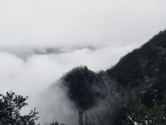 -塔云山