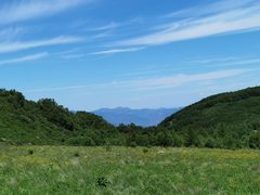 -白草畔自然风景区