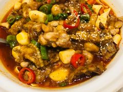 -楚灶王(徐东店)