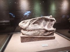 -自贡恐龙博物馆