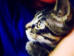 iphone_upload_pic-吉友粥底火锅(方斜路店)