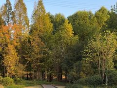 -昆山城市生态森林公园