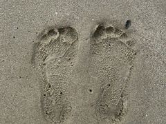 android_upload_pic-白城沙滩