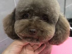 -宠福鑫康馨动物医院·骨科·眼科