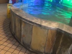 -花水湾第一村温泉大酒店