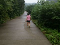 -原山国家森林公园