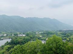 -南山植物园