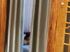 -伊帆食府·青海地方特色美食