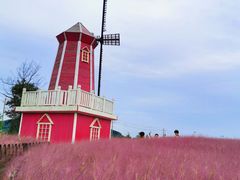 -羊亭河湿地公园