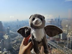 -上海明天广场JW万豪酒店