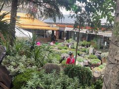 -山菌美食苑(振兴路店)