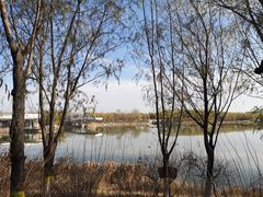 -大兴滨河森林公园