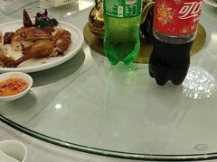 -泉龙渔村·粤式早茶·金牌烧鹅(中山三乡店)