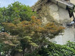 -上海蔡元培故居陈列馆