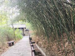 -黄陂区野村谷景区