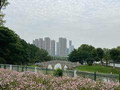 -汉水公园