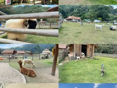-龙岩森林水乡景区