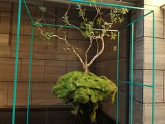 -南太湖山庄·四季轩&国风堂中餐厅