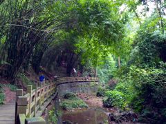 -凤栖山