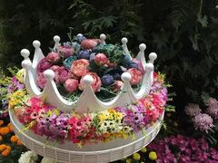 -花之城