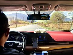 -蘑统田下·野生菌火锅