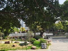 -光明港公园