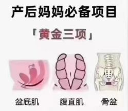 -昕孕瑜伽·孕妇瑜伽·产后修复