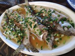 -呼吸森林·生态农庄农家乐私房菜