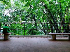 -香港大学