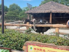 -上海野生动物园