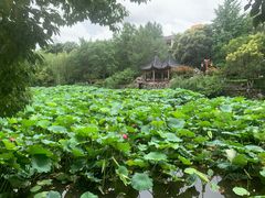-郑和公园