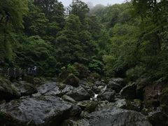 -龙苍沟森林公园