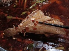 -川东长筷子耗儿鱼(万象润街店)