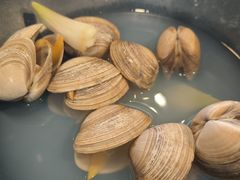 -蚝老板海鲜烧烤大排档(码头店)